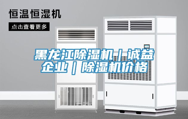 黑龍江除濕機｜誠益企業(yè)｜除濕機價(jià)格