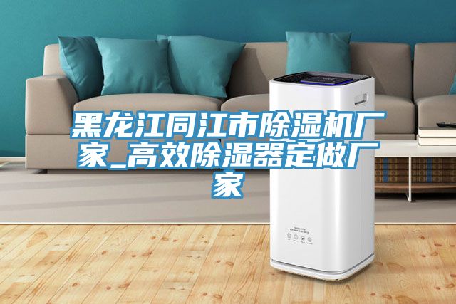 黑龍江同江市除濕機廠(chǎng)家_高效除濕器定做廠(chǎng)家