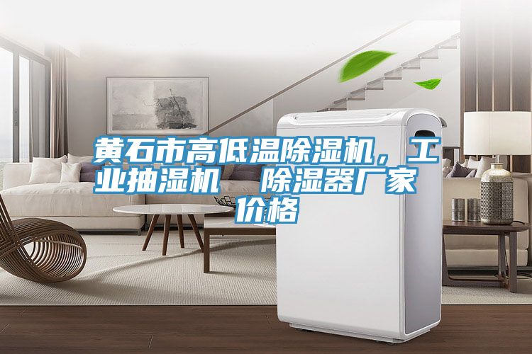 黃石市高低溫除濕機，工業(yè)抽濕機  除濕器廠(chǎng)家 價(jià)格