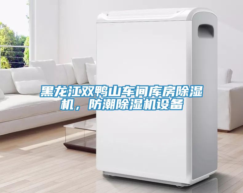 黑龍江雙鴨山車(chē)間庫房除濕機，防潮除濕機設備