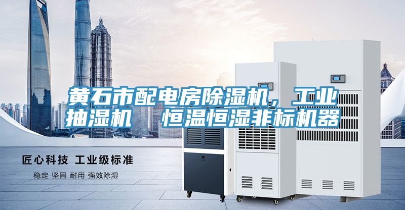 黃石市配電房除濕機，工業(yè)抽濕機  恒溫恒濕非標機器