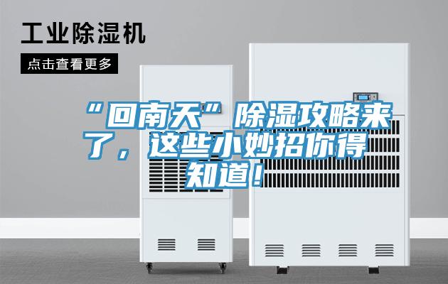 “回南天”除濕攻略來(lái)了，這些小妙招你得知道！