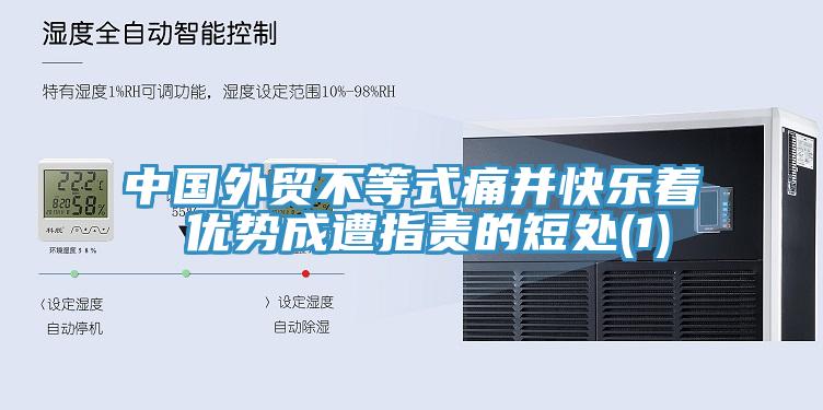 中國外貿不等式痛并快樂(lè )著(zhù) 優(yōu)勢成遭指責的短處(1)