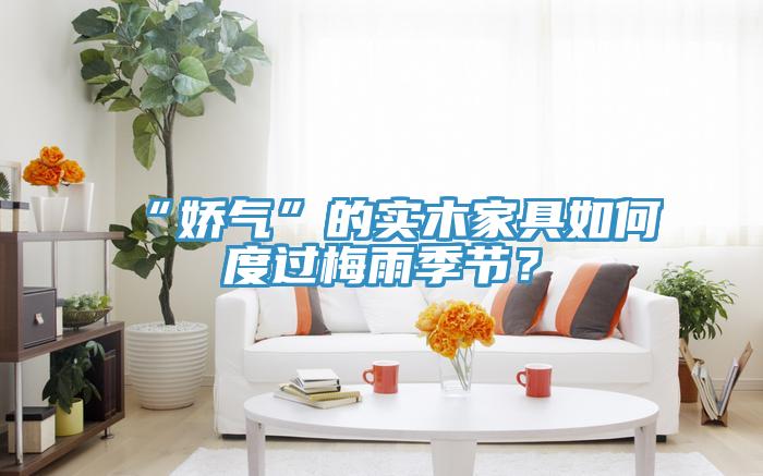 “嬌氣”的實(shí)木家具如何度過(guò)梅雨季節？