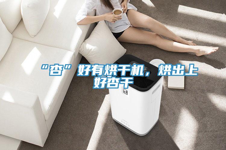 “杏”好有烘干機，烘出上好杏干