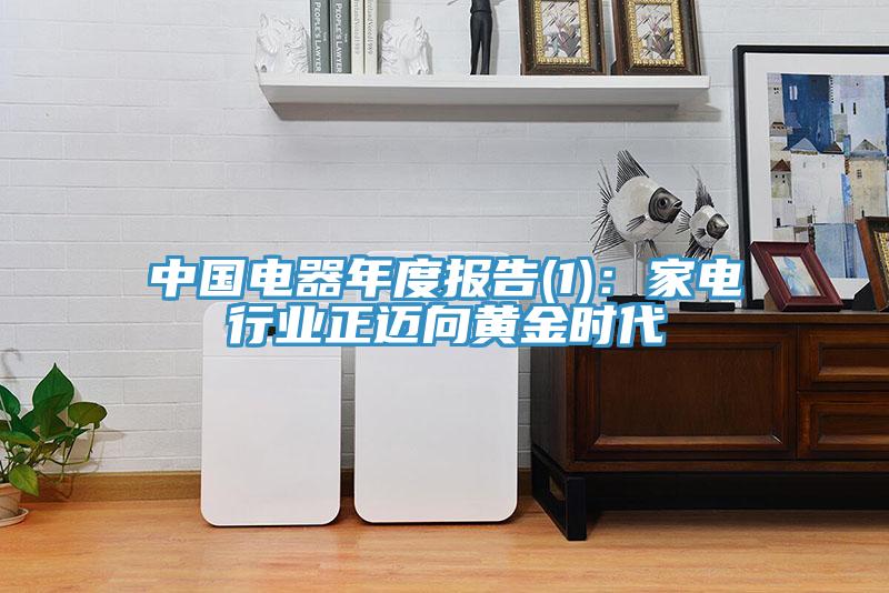 中國電器年度報告(1)：家電行業(yè)正邁向黃金時(shí)代
