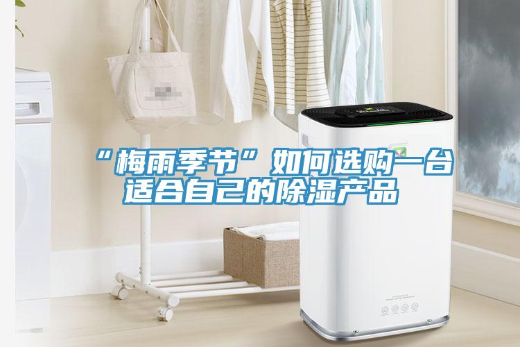 “梅雨季節”如何選購一臺適合自己的除濕產(chǎn)品