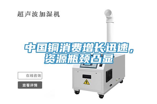 中國銅消費增長(cháng)迅速，資源瓶頸凸顯