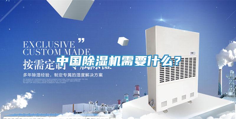 中國除濕機需要什么？