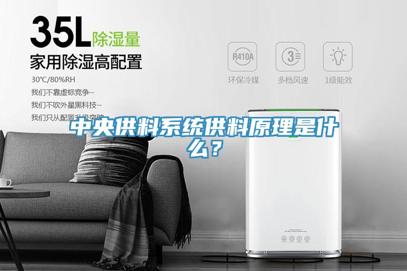 中央供料系統供料原理是什么？