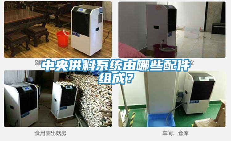 中央供料系統由哪些配件組成？