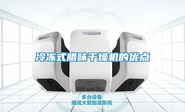 冷凍式臘味干燥機的優(yōu)點(diǎn)
