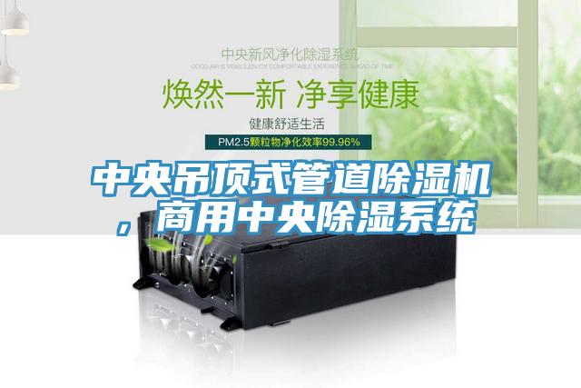 中央吊頂式管道除濕機，商用中央除濕系統