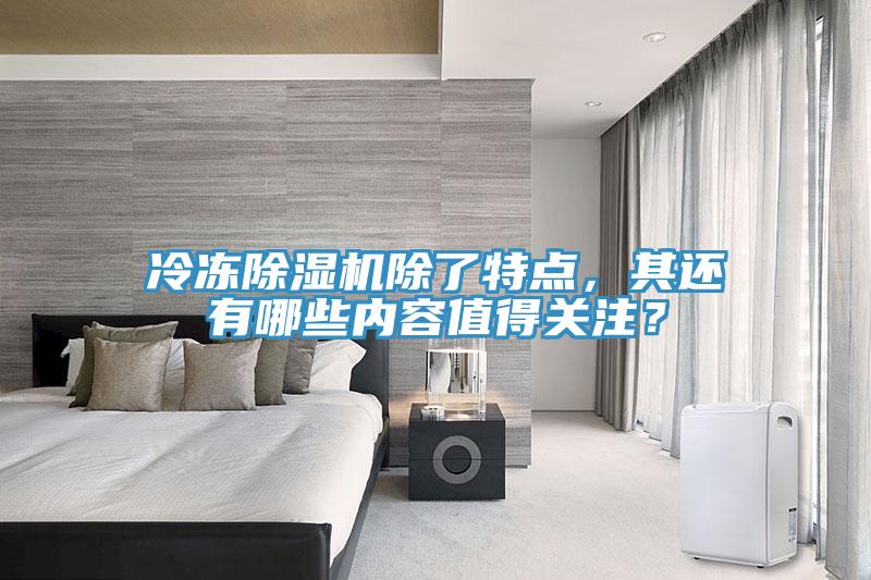 冷凍除濕機除了特點(diǎn)，其還有哪些內容值得關(guān)注？
