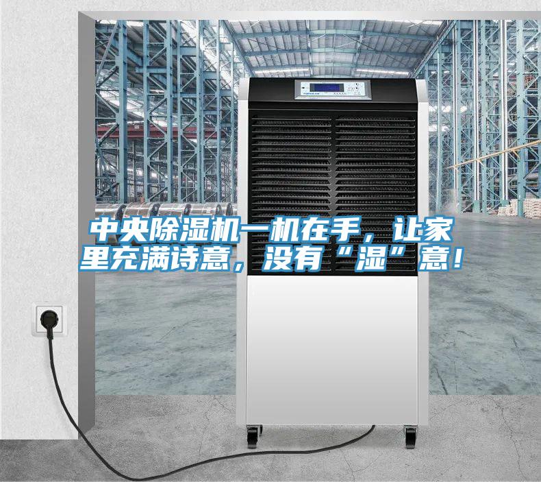 中央除濕機一機在手，讓家里充滿(mǎn)詩(shī)意，沒(méi)有“濕”意！