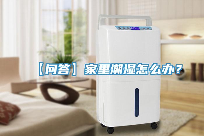【問(wèn)答】家里潮濕怎么辦？