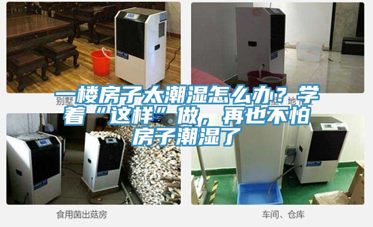 一樓房子太潮濕怎么辦？學(xué)著(zhù)“這樣”做，再也不怕房子潮濕了