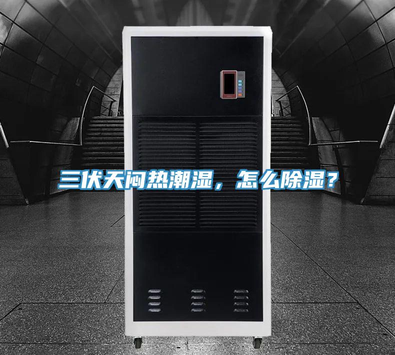 三伏天悶熱潮濕，怎么除濕？