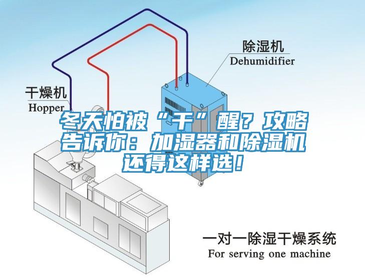 冬天怕被“干”醒？攻略告訴你：加濕器和除濕機還得這樣選！