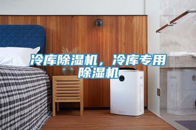 冷庫除濕機，冷庫專(zhuān)用除濕機