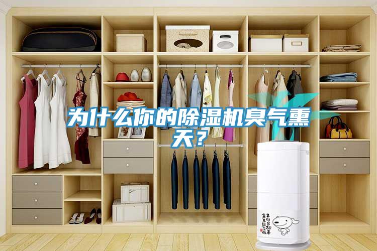 為什么你的除濕機臭氣熏天？