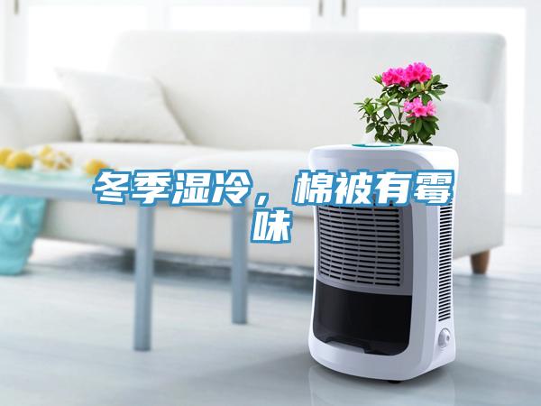 冬季濕冷，棉被有霉味