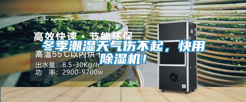 冬季潮濕天氣傷不起，快用除濕機！