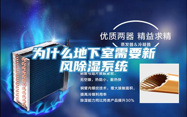 為什么地下室需要新風(fēng)除濕系統