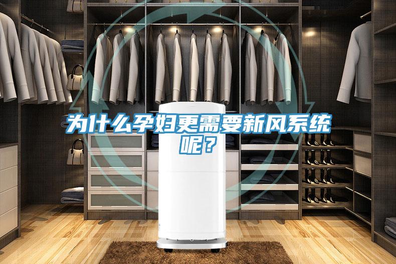 為什么孕婦更需要新風(fēng)系統呢？