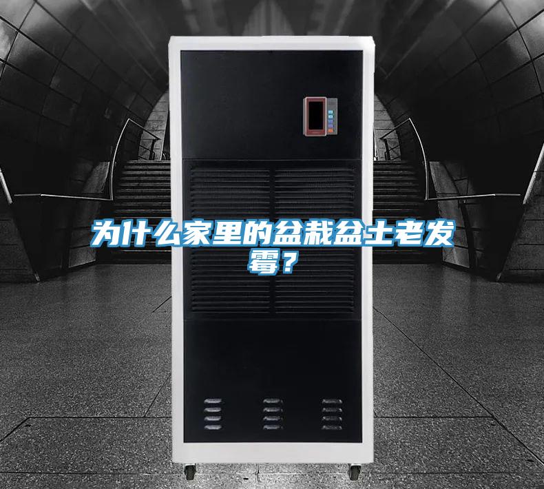 為什么家里的盆栽盆土老發(fā)霉？