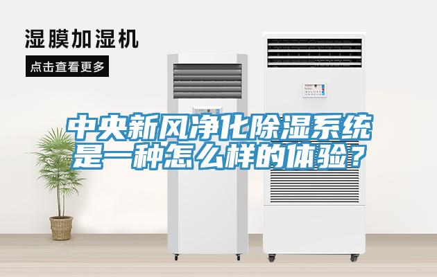 中央新風(fēng)凈化除濕系統是一種怎么樣的體驗？