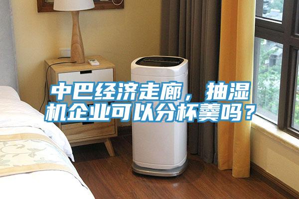 中巴經(jīng)濟走廊，抽濕機企業(yè)可以分杯羹嗎？