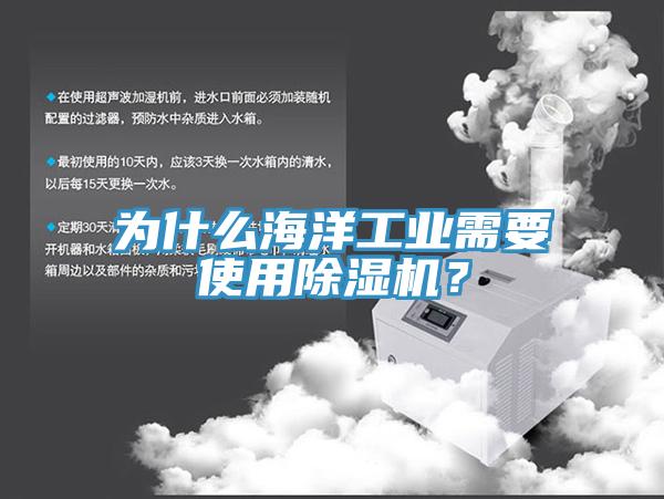 為什么海洋工業(yè)需要使用除濕機？