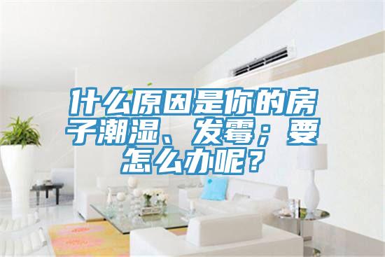 什么原因是你的房子潮濕、發(fā)霉；要怎么辦呢？