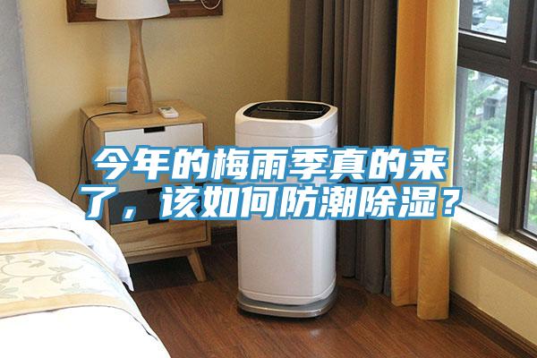 今年的梅雨季真的來(lái)了，該如何防潮除濕？