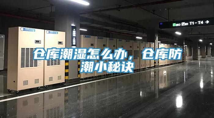 倉庫潮濕怎么辦，倉庫防潮小秘訣