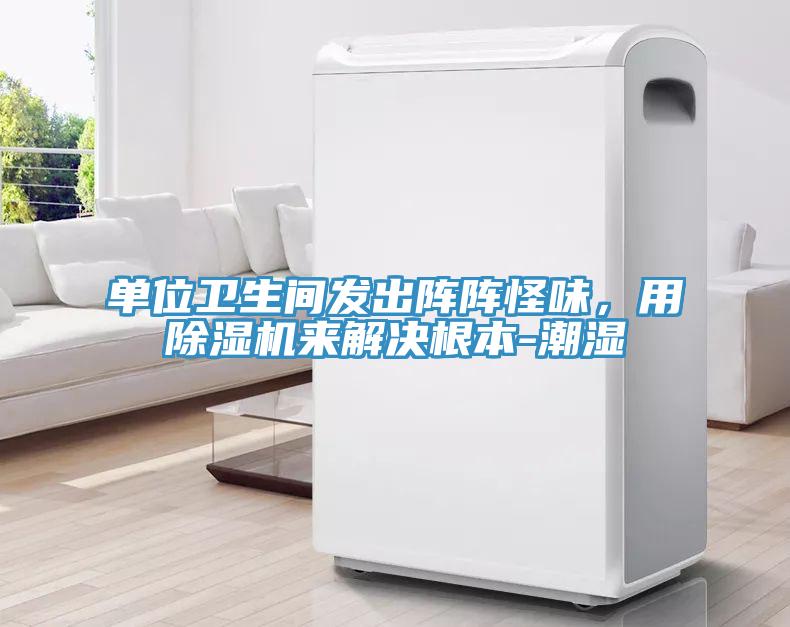 單位衛生間發(fā)出陣陣怪味，用除濕機來(lái)解決根本-潮濕