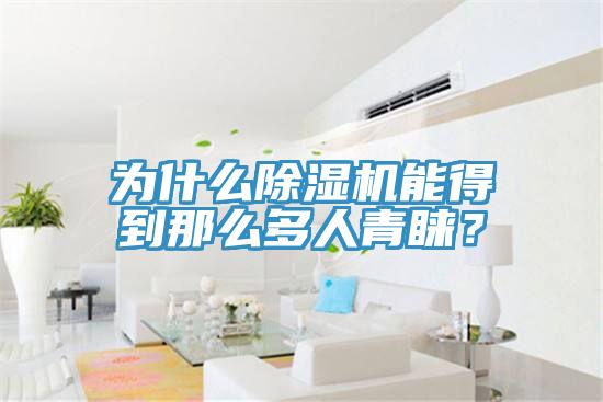 為什么除濕機能得到那么多人青睞？