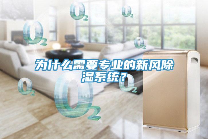 為什么需要專(zhuān)業(yè)的新風(fēng)除濕系統？