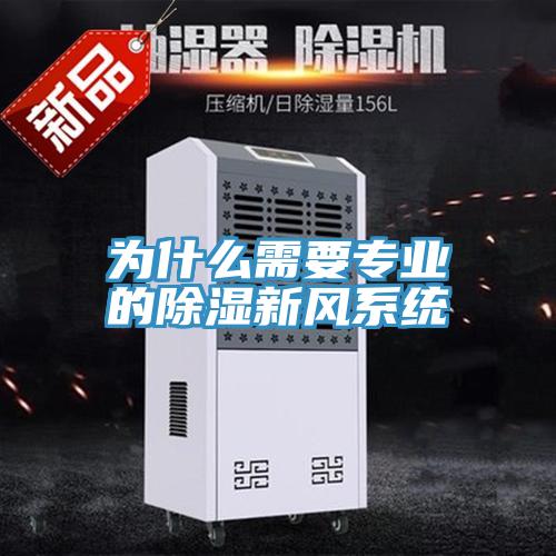 為什么需要專(zhuān)業(yè)的除濕新風(fēng)系統