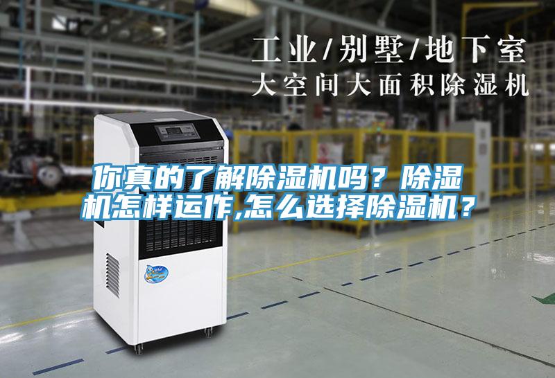 你真的了解除濕機嗎？除濕機怎樣運作,怎么選擇除濕機？