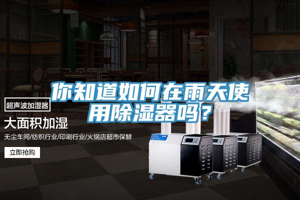 你知道如何在雨天使用除濕器嗎？