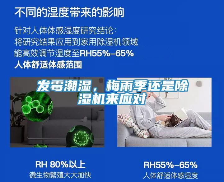 發(fā)霉潮濕，梅雨季還是除濕機來(lái)應對