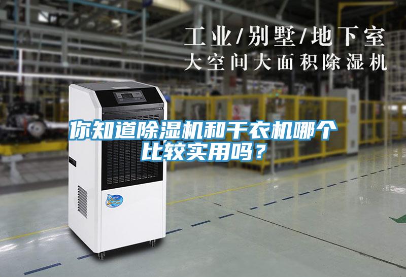 你知道除濕機和干衣機哪個(gè)比較實(shí)用嗎？