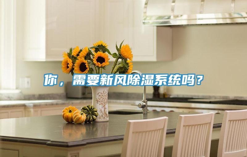 你，需要新風(fēng)除濕系統嗎？