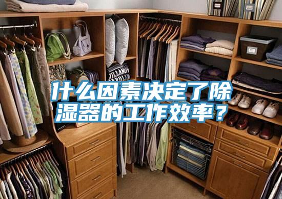 什么因素決定了除濕器的工作效率？