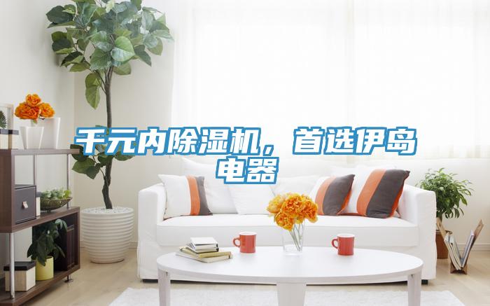 千元內除濕機，首選伊島電器