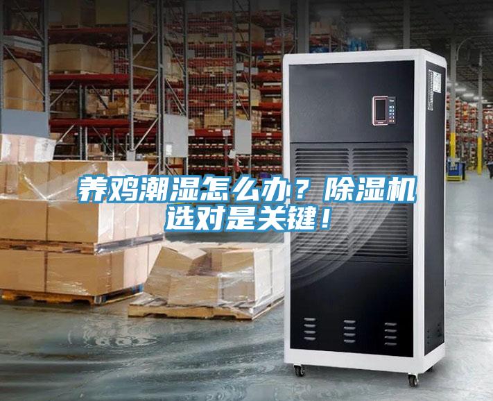 養雞潮濕怎么辦？除濕機選對是關(guān)鍵！