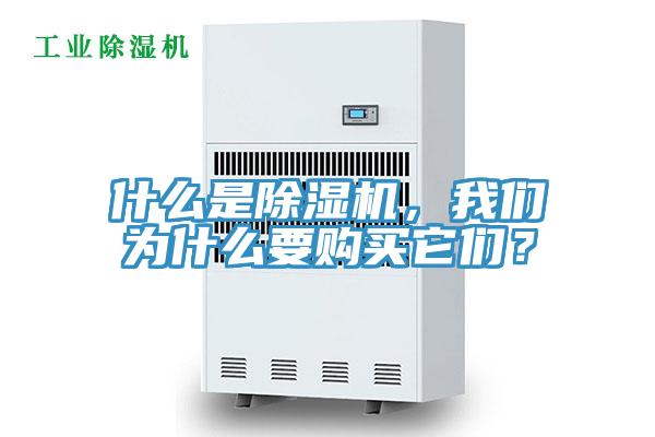什么是除濕機，我們?yōu)槭裁匆徺I(mǎi)它們？