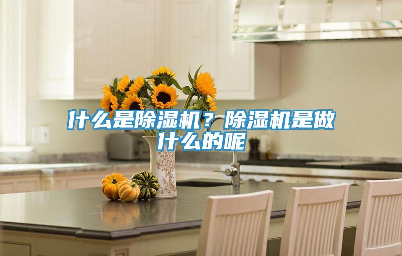 什么是除濕機？除濕機是做什么的呢